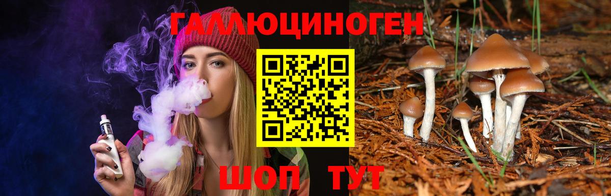 Псилоцибиновые грибы прущие грибы Пугачёв