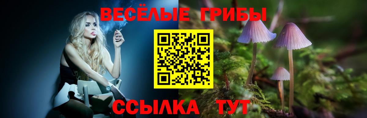 Пугачёв  Псилоцибиновые грибы ЛСД  Галлюциногенные грибы Psilocybine cubensis  Вход с VPN 